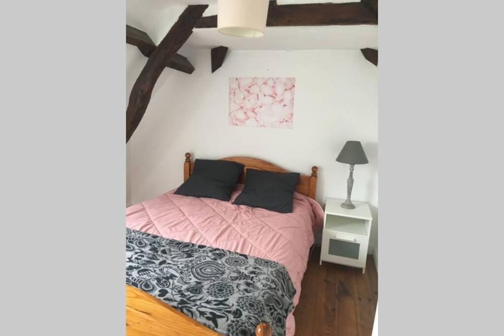 Maison De Dans Citee Medievale Apartment